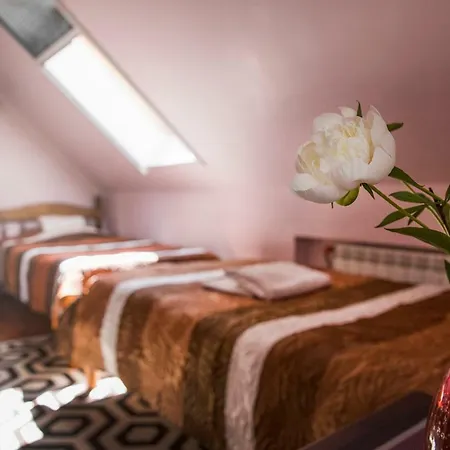 Veski Mini-hôtel Antsla